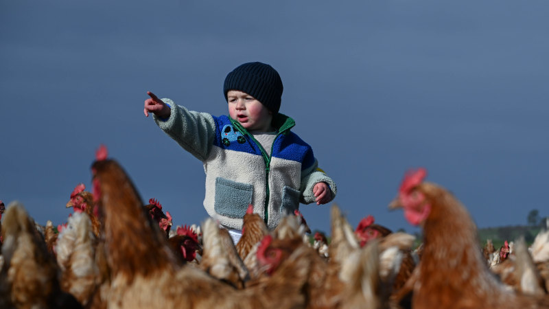 The Age photos of the week, June 22, 2024