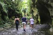The Patuna Chasm Walk