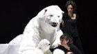 A polar bear and its cub encounter the consequences of global warming during one vignette in Dimanche. 