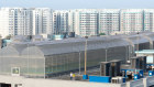 The ComCrop rooftop garden in Singapore. The city’s heat, pricey real estate and electricity pose extra challenges.