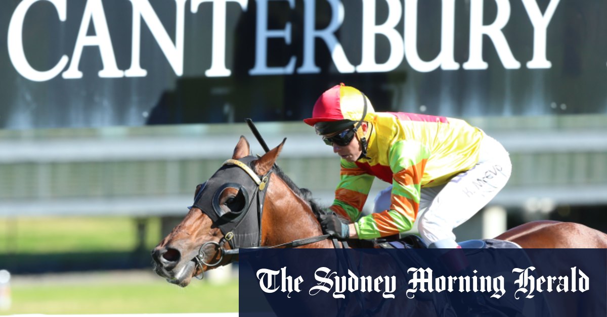 Race-by-race preview and tips for Canterbury on Friday night