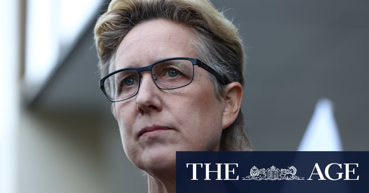 DP World dispute: ACTU's Sally McManus accuses Dubai royalty of bullying Albanese government - Vimarsana News