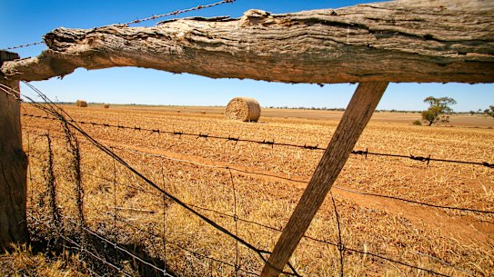 With the Russia-Ukraine war hitting global wheat supply, it’s time to diversify.