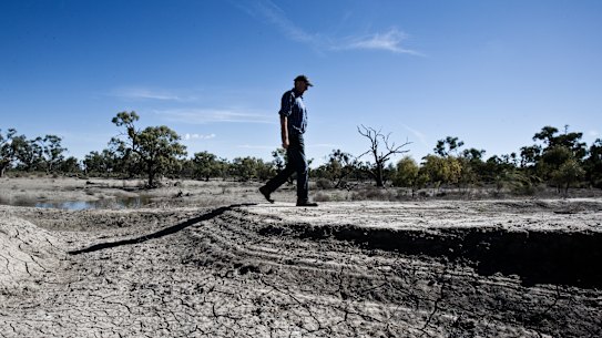 Condemnation for cotton farmer after guilty plea to water theft