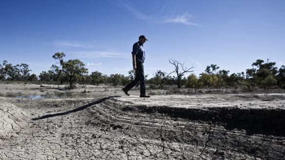 Condemnation for cotton farmer after guilty plea to water theft