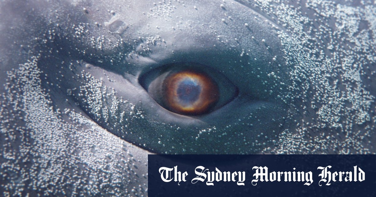  Call Me Ishmael Gets A New Meaning In Wu Tsang s New Take On Moby Dick