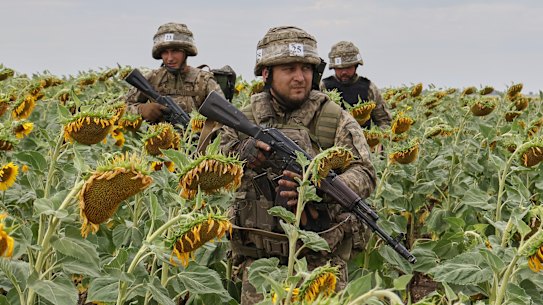 In this photo provided by Ukraine’s 65th Mechanised Brigade press service, recruits train in a sunflower field in the Zaporizhzhia region on Monday.