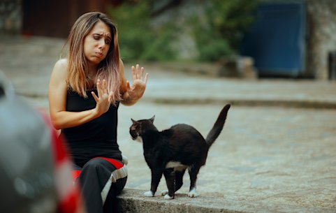 What’s so bad about a black cat?
