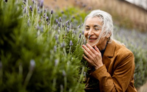 Don’t forget the best gardens smell good, as well as look good.