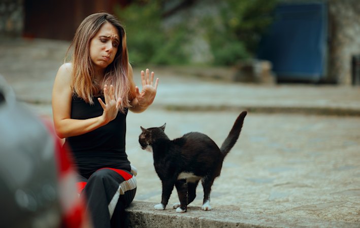 Sydney Woman Hit by Bird Droppings Sparks Debate on Lucky Superstitions (australia) — SMH