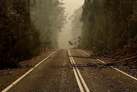 Large sections of the Princes Highway in East Gippsland have been cut off by the bushfires.