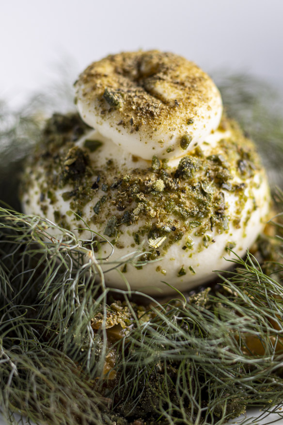 Burratina with braised onion and fennel.