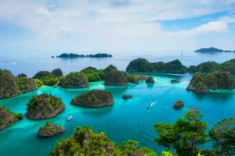 Raja Ampat boasts one of the most biodiverse marine environment in the world.