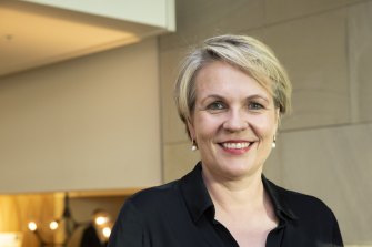 Labor’s education spokeswoman Tanya Plibersek.
