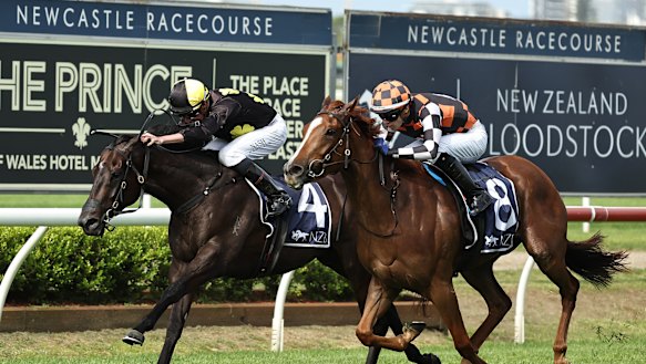 Race-by-race preview and tips for Newcastle on Thursday