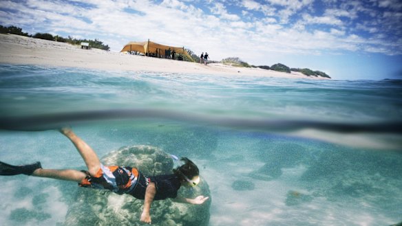 The heritage-listed Ningaloo Reef is one of the largest fringing reefs in the world.