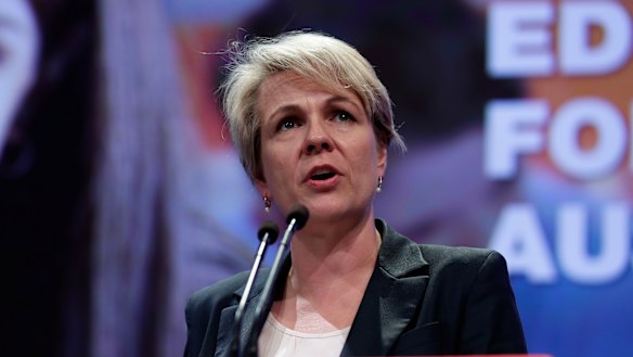 Deputy Labor leader Tanya Plibersek said current laws were not doing enough to reduce the gender pay gap.