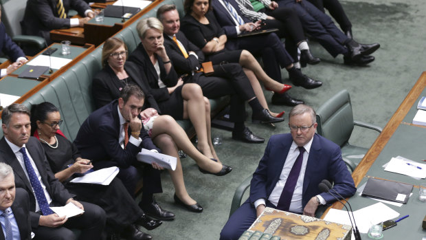 Opposition Leader Anthony Albanese and his front bench during question time at Parliament House.