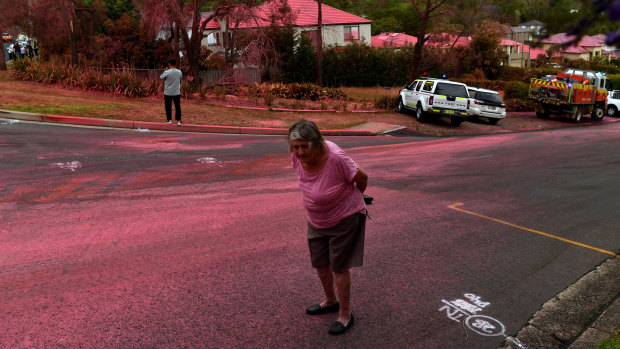 A resident walks in front of South Turramurra homes which were bombed by fire retardant in November.