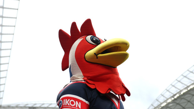 The Roosters mascot checks on the weather at Allianz Stadium.