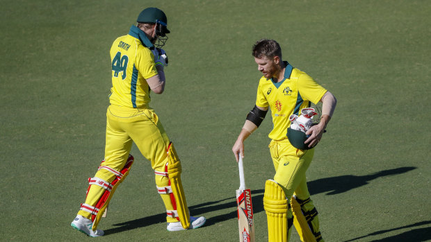 Comebacks: Cricket Australia is expecting a turbulent few months in England as  Steve Smith and David Warner return.