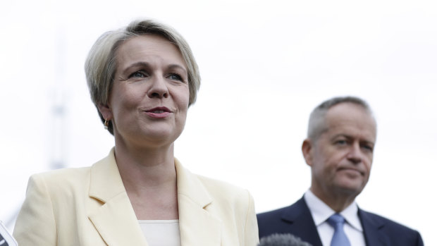 Deputy Labor leader Tanya Plibersek and Opposition Leader Bill Shorten at Parliament House earlier this month.