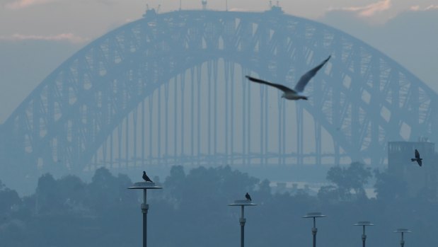 Thick smoke covers Sydney on Monday morning.