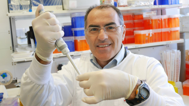 Curtin University's Professor Marco Falasca led the research.