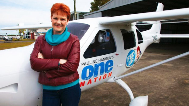 Pauline Hanson’s One Nation party was accused of buying a private plane with funds from a high-rise Victorian property developer to “ferry” their leader around, without officially declaring it as a gift.