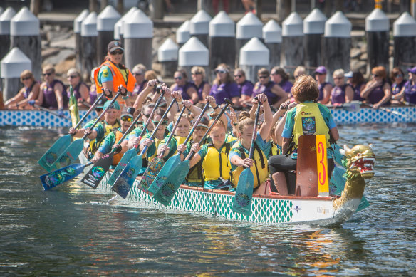 An Albury-Wodonga team competing in the Dragon Boat festival races in Docklands in 2019.