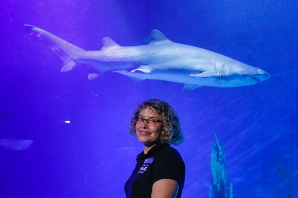 Di Brandl, pictured with resident grey nurse shark Mitchell, still loves working at Sea Life Melbourne Aquarium.