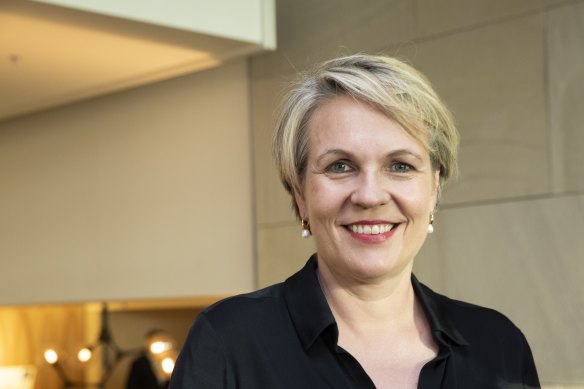 Labor education spokeswoman Tanya Plibersek.