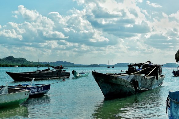Maginti Island-style trepang boats moored in Papela’s harbour. 