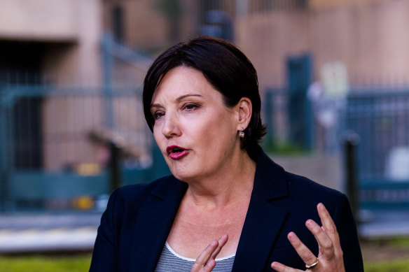 Labor leader Jodi McKay says the Upper Hunter byelection came too early for the party.