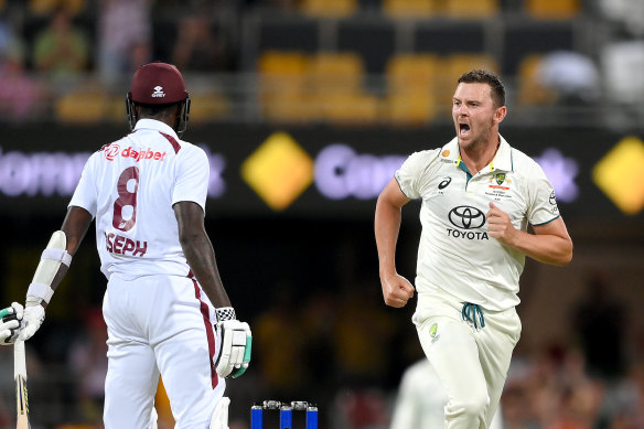 Josh Hazlewood has some words for Alzarri Joseph after his dismissal.