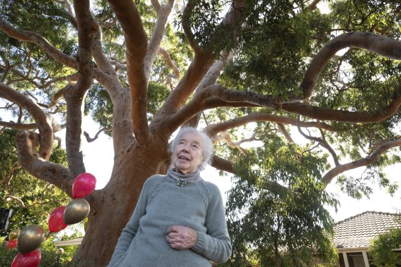 Joan Couzoff with the Sydney red gum on Sunday.