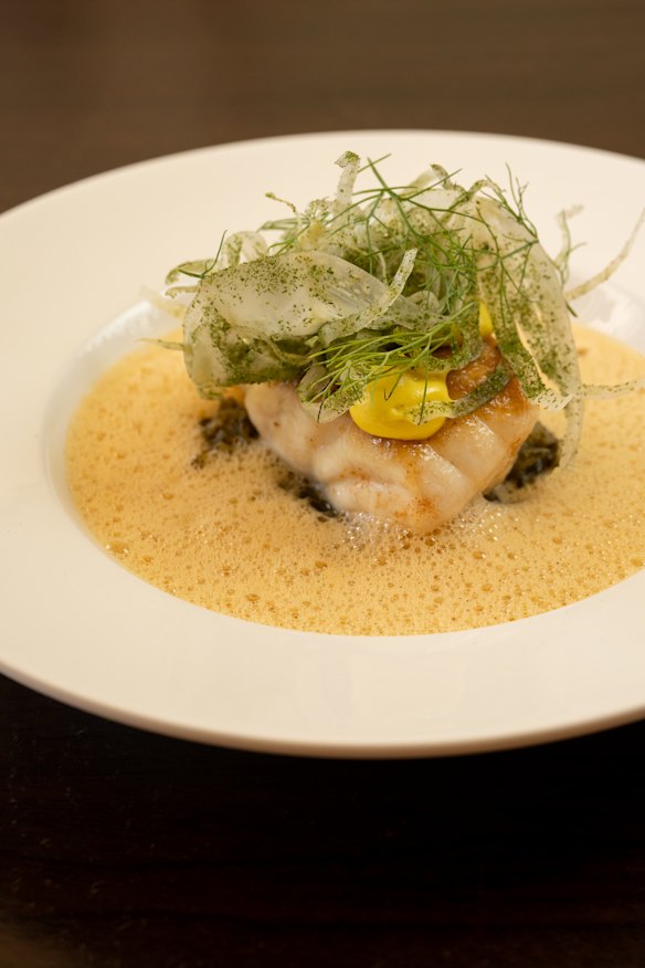 Port Phillip Bay snapper, fennel bouillabaisse and rouille.