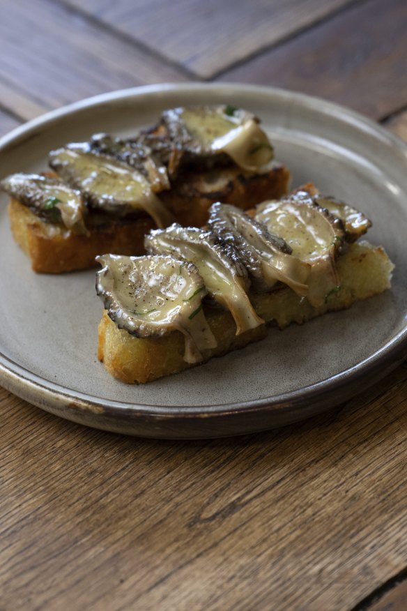 Morel mushroom on toast.