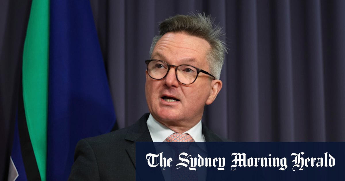 Chris Bowen to include business sweeteners on road to net zero