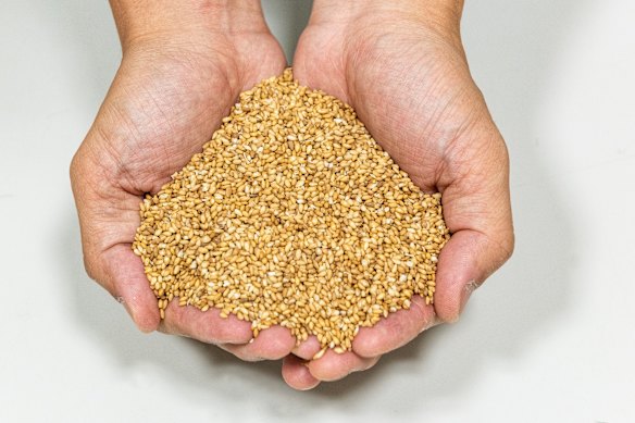 The prized sesame seeds.