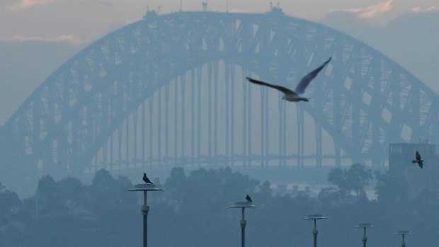 Sydney in a smoky haze after state-wide hazard reduction burns