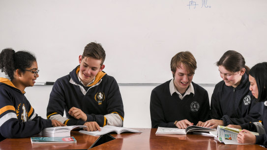 Box Hill High School language students compare notes on Mandarin and German. 