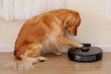 The elenium series image