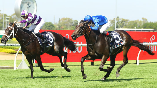 Nash Rawiller lifts Lindermann (inside) to victory over Pericles in the Rosehill Guineas.