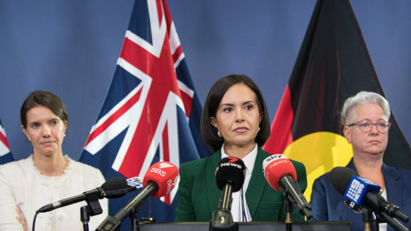 Deputy Premier Prue Car, during a press conference following a special meeting of the NSW Cabinet on domestic and family violence.