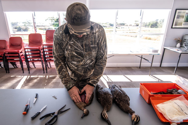 Hunter Trent Leen prepares the ducks for eating after the hunt.