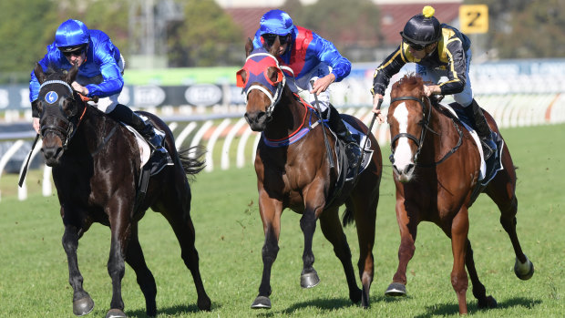 Storming down the outside:  Nicci's Gold fires home to win at Rosehill last year.