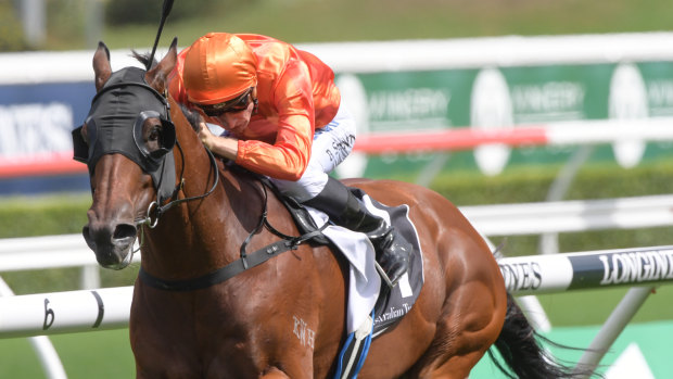 Dreamforce in full flight as he wins the Liverpool City Cup earlier in the year.