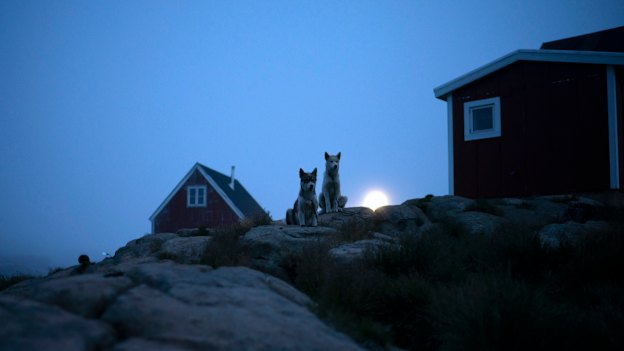 The village of Kulusuk, August 15.