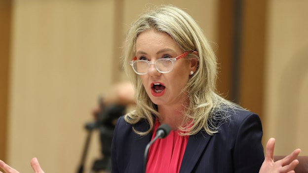 Senator Bridget McKenzie oversaw the government’s sports infrastructure program, which was criticised by an Auditor-General’s report.